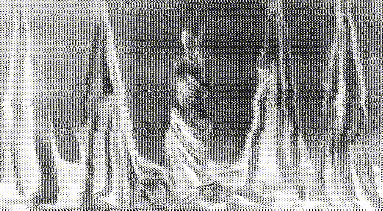 Animated interactive artwork with a distortion effect